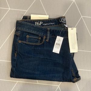 Loft, jeans, size 16P